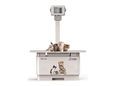 寵物體檢為什么要用寵物DR,有哪些優(yōu)勢?