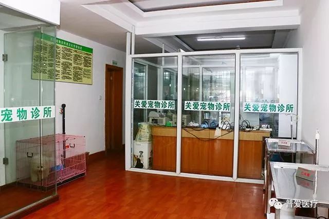 以仁醫之心關愛寵物健康 以仁醫之心關愛寵物健康